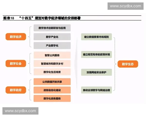 体育商业投资新机遇分析：市场趋势、风险控制与未来发展路径